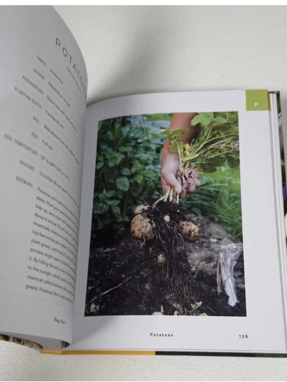 Veg Out; A Stress-Free Guide to Creating Your First Vegetable Garden